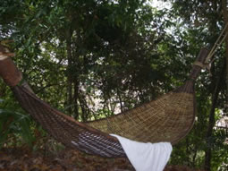 Railay Garden view gardens