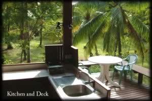 The Kitchen and Deck, The Goldschmid house