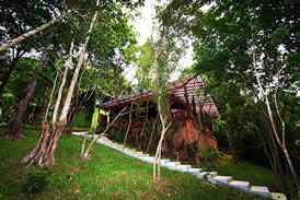 Railay Beach Great View Paths