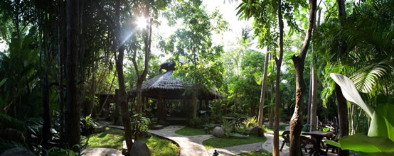 Ao Nang hotels- Somkiet Buri- jungly