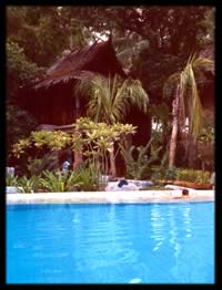 The Pool