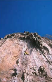 Railay Climbing