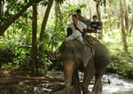 Elephant trecking Aonang