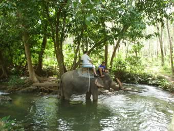AoNang elephant trekking