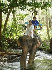 AoNang jungle elephant trekking