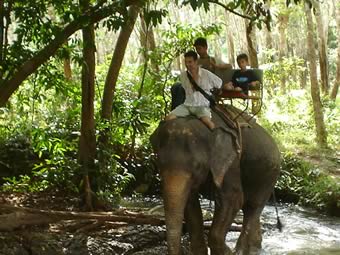 Ao Nang elephant trekking