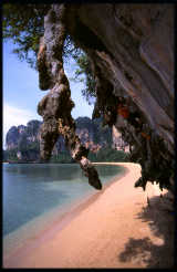 Climbing on andaman beach